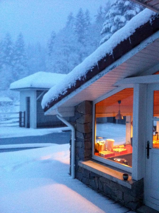 Le Chalet Blanc - Jacuzzi / Piscine / Sauna Gérardmer Esterno foto