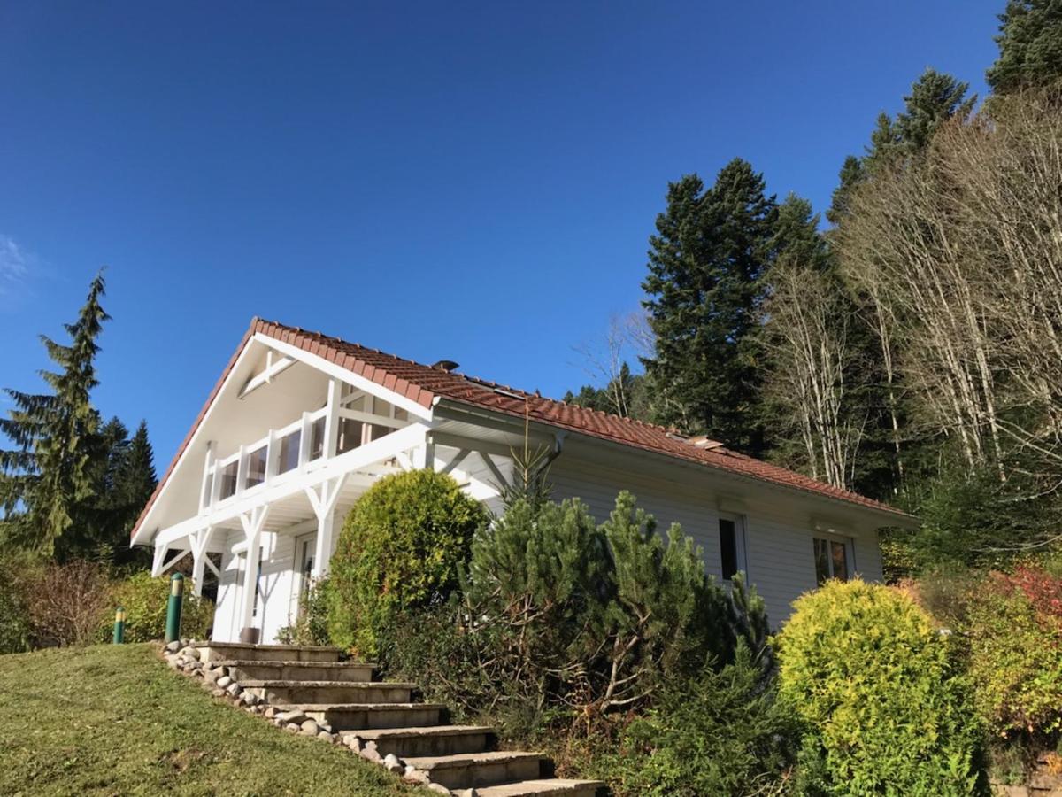 Le Chalet Blanc - Jacuzzi / Piscine / Sauna Gérardmer Esterno foto